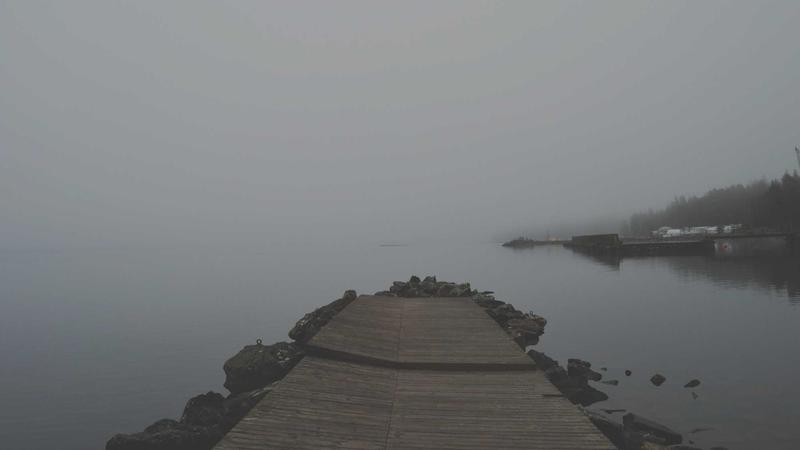 众多球迷通过手机和电脑观看足球与NBA高清直播的场景